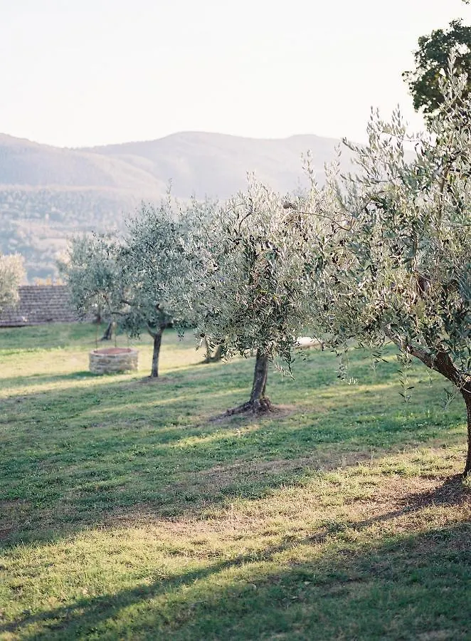 Villa Montanare Cortona