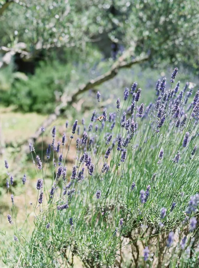 Villa Montanare Cortona Privatunterkunft