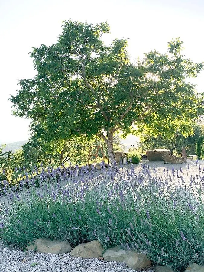 Villa Montanare Cortona