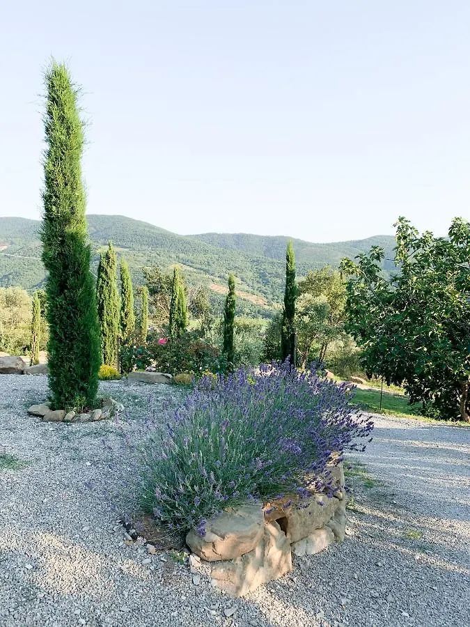 Villa Montanare Cortona 0*,