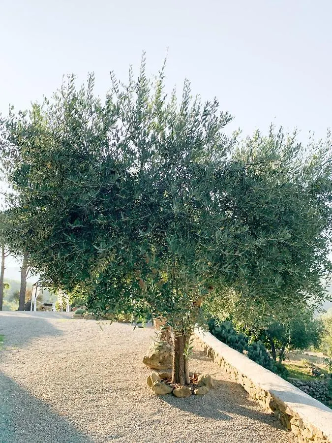 Homestay Villa Montanare Cortona