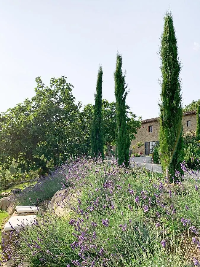 Privatunterkunft Villa Montanare Cortona Italien