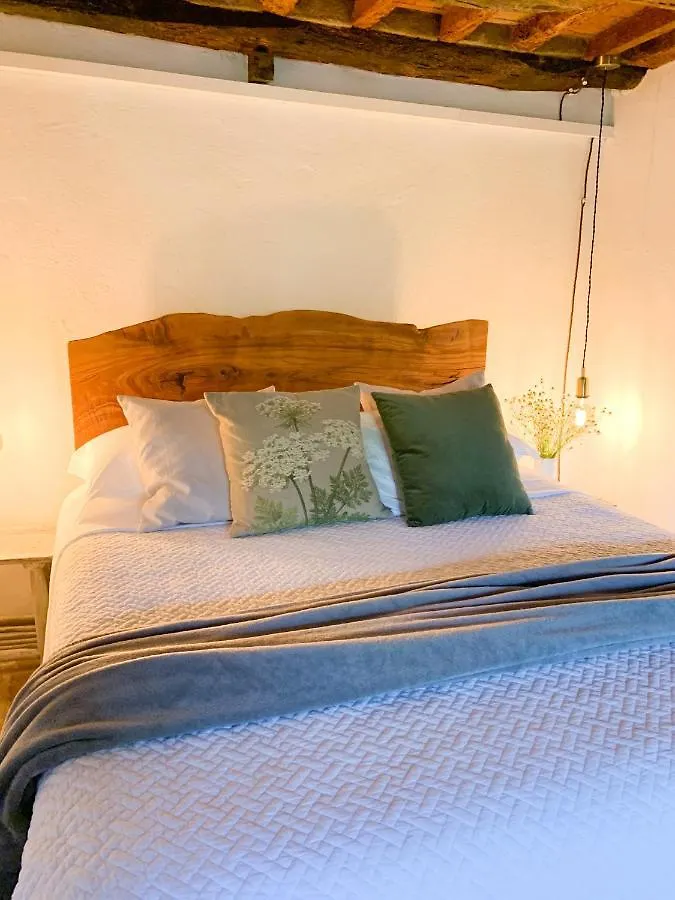Homestay Villa Montanare Cortona