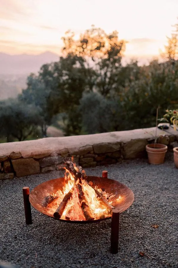 Homestay Villa Montanare Cortona Italy