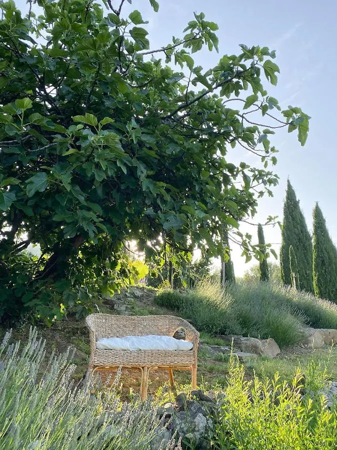 Villa Montanare Cortona